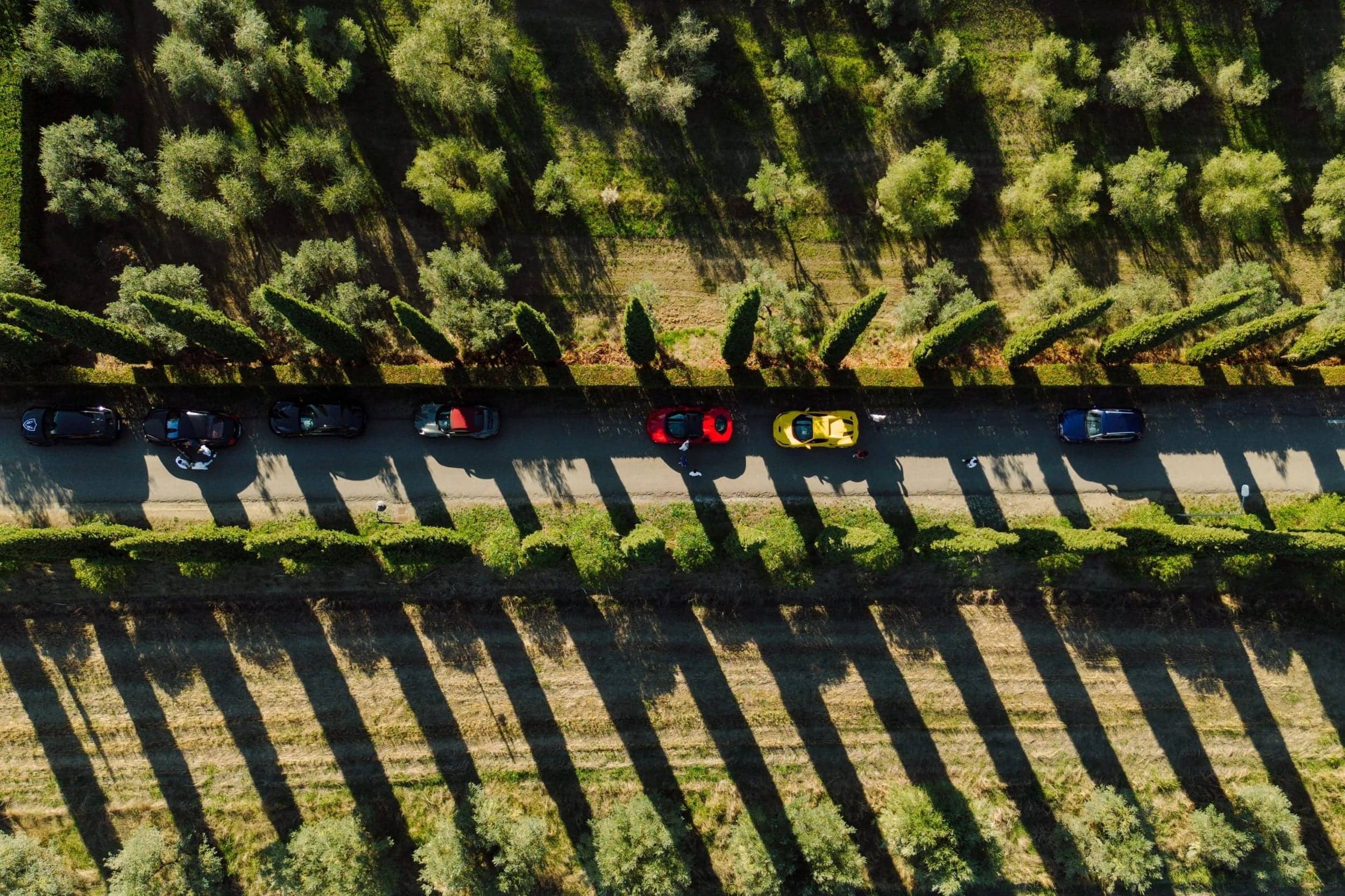 A line of supercars on a tree-lined Tuscan country road