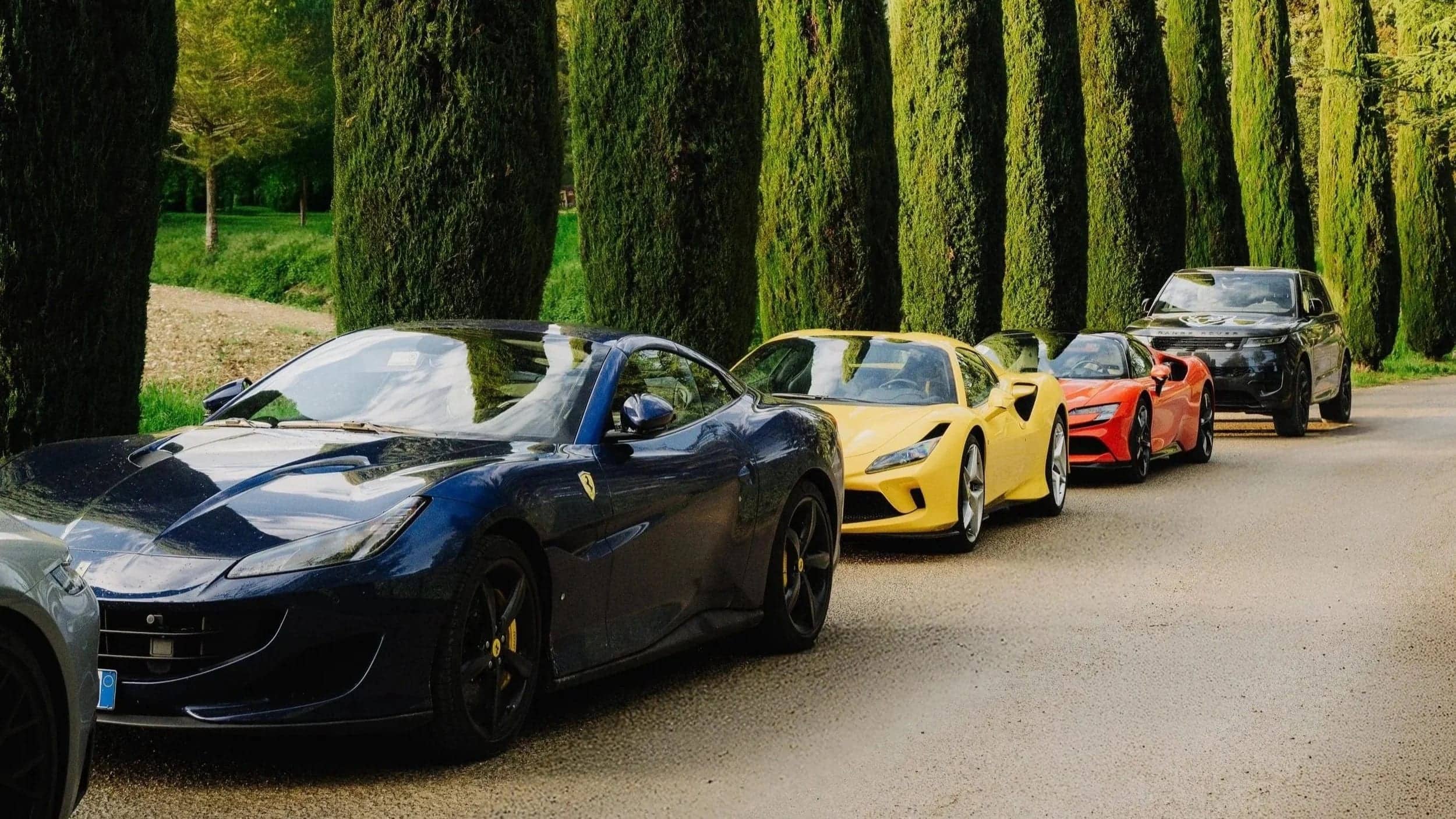 Supercars lined up along a cypress avenue in Tuscany